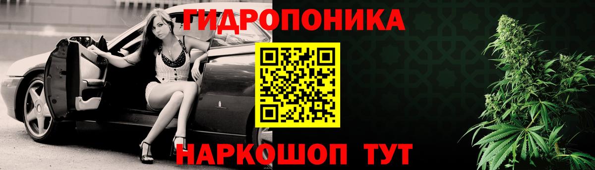 Каннабис индика Тамбов